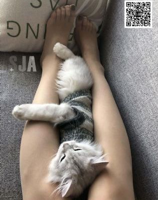 鬼父观看