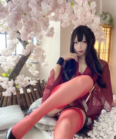 韩剧 王的女人