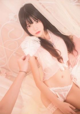 囮物语