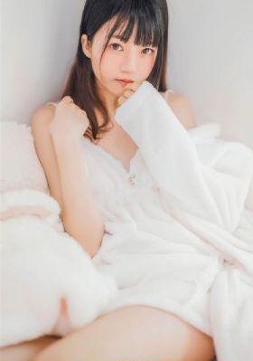 细狗网页版登录入口