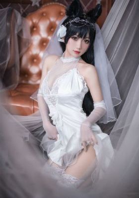 警察锅哥40集