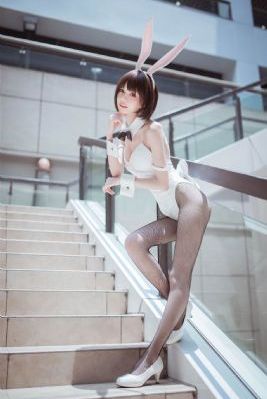 免费观看48集汪汪队